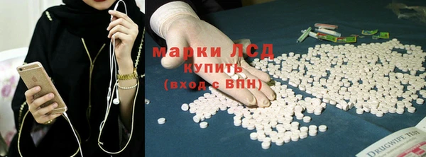 индика Киренск