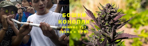 mdpv Козловка